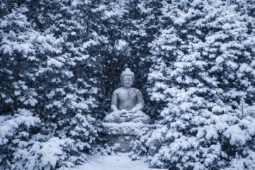 Elcsendesedés Budapest külkerületében.